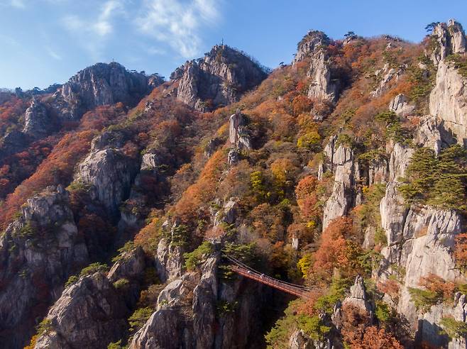논산과 완주가 공유하고 있는 내둔산의 가을