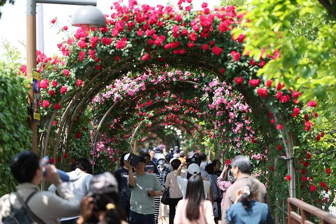 축제의 정체성을 찾는 건 중요한 문제다.[사진=연합뉴스]