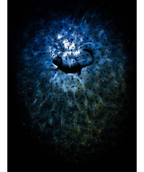 별들 사이에서(BETWEEN THE STARS) Tibor Litauszki, Hungary