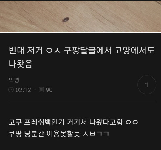 [인터넷 커뮤니티 캡처]