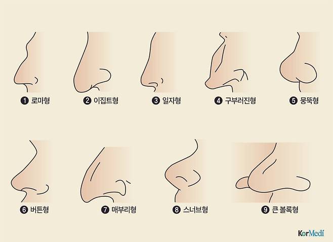 얼굴을 판독하는 생리학자들은 코 모양을 연구해 그 성격과 특성을 분석하기도 했다. 자신의 코 모양을 골라보자.  혹은 상대의 코 모양으로 성향이 어떤지 유추해 보는 재미도 있다. [이미지=코메디닷컴 제작 DB]