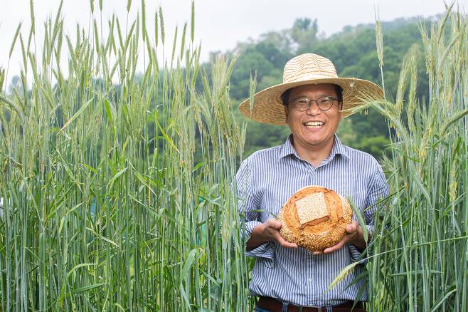 경기도 광명에 있는 자신의 밀밭에서 자신이 구운 '사워도' 빵을 들고 있는 이성규 더베이킹랩 대표. 그는 "우리 밀과 고대 밀로 구운 빵을 실험 중"이라고 했다. /이신영 영상미디어 기자