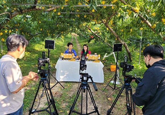 금일 이천시농업기술센터 관계자들이 라이브커머스 진행을 위한 방송장비 활용 교육을 진행하고 있다.  [사진=이천시]