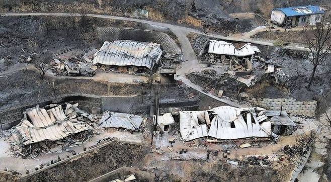 28채중 22채 잿더미 - 8일 경북 울진군 북면 신화2리에 있는 여러 주택이 불에 타 지붕이 내려앉고 주변의 땅이 검게 그을려 있다. 이 마을에선 전체 주택 28채 중 22채가 불에 탔다. /김동환 기자