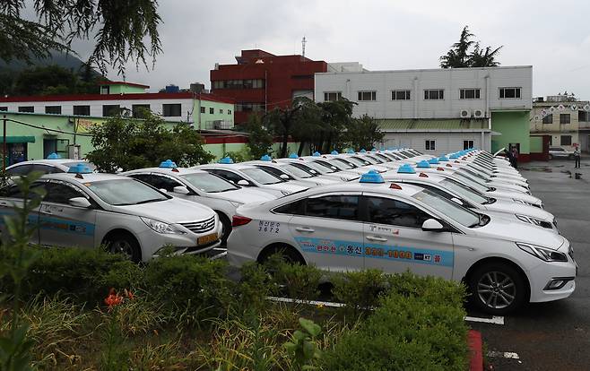 11일 부산광역시 사상구에 있는 한 택시회사 차고지에 운행하지 않는 택시들이 늘어서 있다./김동환 기자