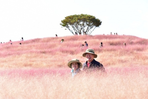 합천 황매산 갈대 여행 / 사진=구건서