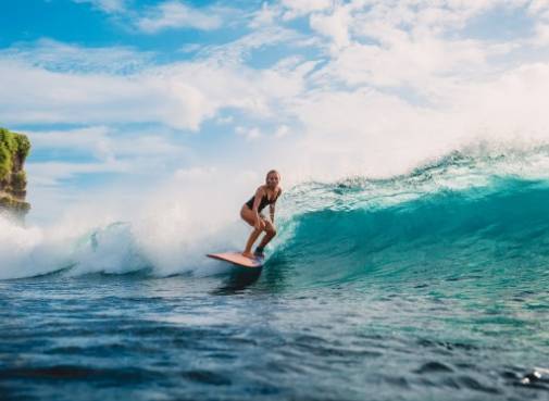 온라인 커뮤니티