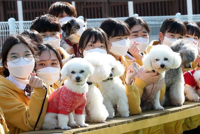 지난 23일 경북 봉화군 한국펫고등학교에서 반려견과 함께한 학생들. 이들 대부분은 반려동물 직무 분야에 관심을 갖고 꿈을 이루기 위해 전국에서 한달음에 봉화로 달려왔다./신현종 기자
