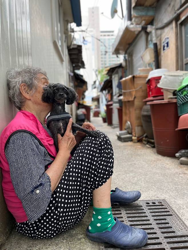 김남이 할머니와 반려견 깜순이. 맑은 날 골목에 앉아 깜순이가 노는 걸 보는 게 김씨의 낙이다.