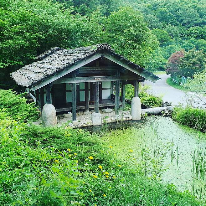 지리산 중산리 등산 코스와 가까운 시천면 '고운동천'도 촌캉스 숙소로 아는 이들만 알음알음 찾는 곳. 툇마루에 앉으면 연못이 내다보이는 숙소는 '숲멍' '물멍' 하기 좋다. 따로 떨어진 '별채'는 전기 시설 없이 촛불과 호롱불을 사용해야 하는 그야말로 옛날 시골집 체험을 해볼 수 있다. / 고운동천