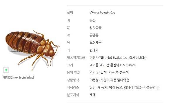 충남권 첫 빈대 확인…지자체 방제 나서