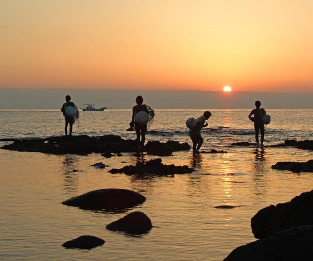 제주 해녀들이 물질을 마치고 뭍으로 나오고 있다. [사진 = 제주도]