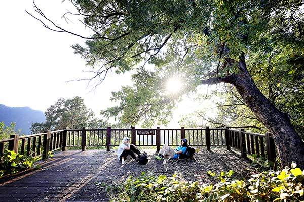 어깨산 정상 채 못미처 송골 쉼터가 있다. 여기서 진행 방향에서 벗어나&nbsp;150m 쯤 내려가면 호랑이굴이라는 작은 동굴이 있다.