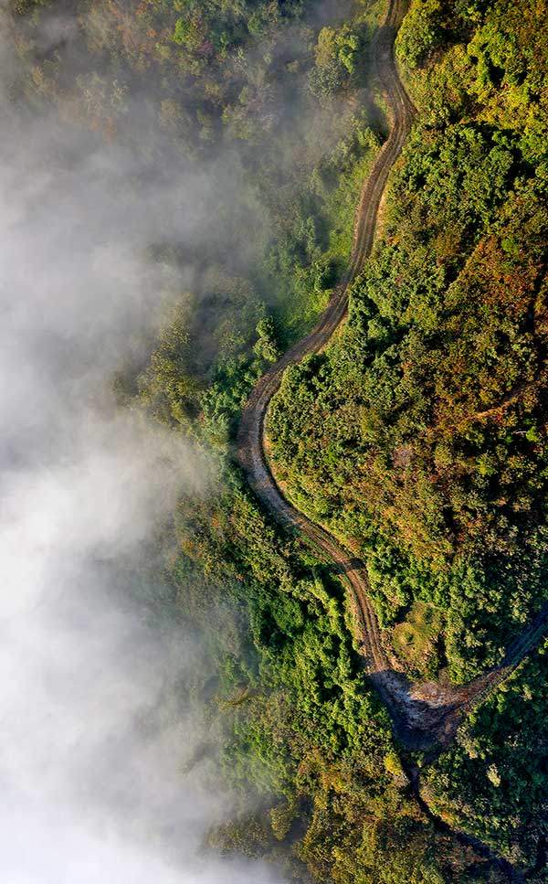 넘실거리는 운해가 아래의 임도를 덮었다가&nbsp;물러나길 반복했다. 그 모습은 모래에&nbsp;부서지는 파도 같았다.