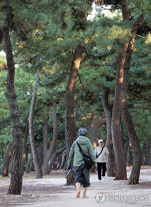 맨발로 걷기  [연합뉴스 자료사진]