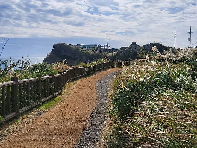 제주올레 10코스의 백미로 꼽히는 송악산 둘레길. [사진=곽경호 기자]