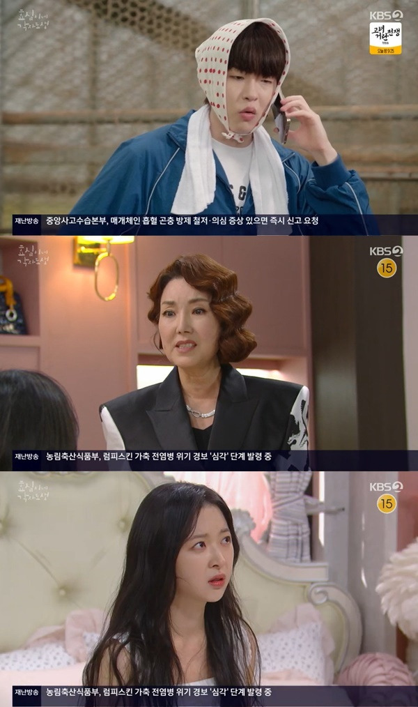 KBS 2TV ‘효심이네 각자도생’ 캡처