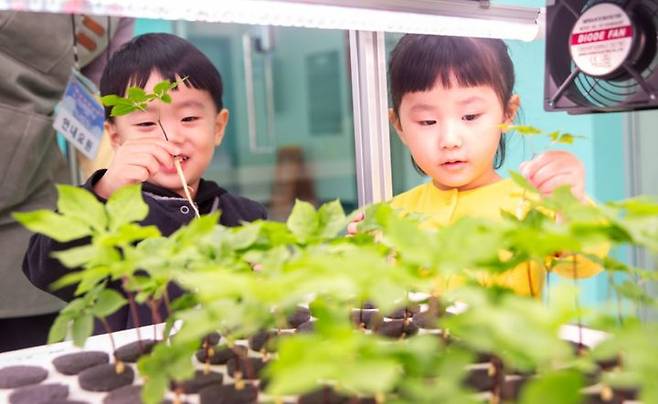 [증평=뉴시스] 인삼문화의 날 체험마켓 4계절 축제. (사진=증평군 제공) photo@newsis.com *재판매 및 DB 금지