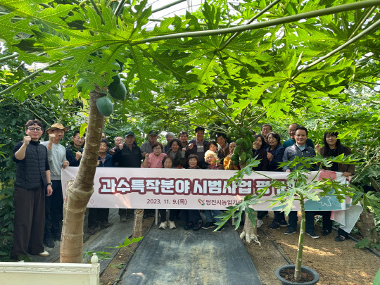 당진시농업기술센터(소장 구본석)는 지난 9일 20여 명이 참석한 가운데 2023년 과수 특작 분야 시범사업 평가회를 개최했다. 사진=당진시 제공