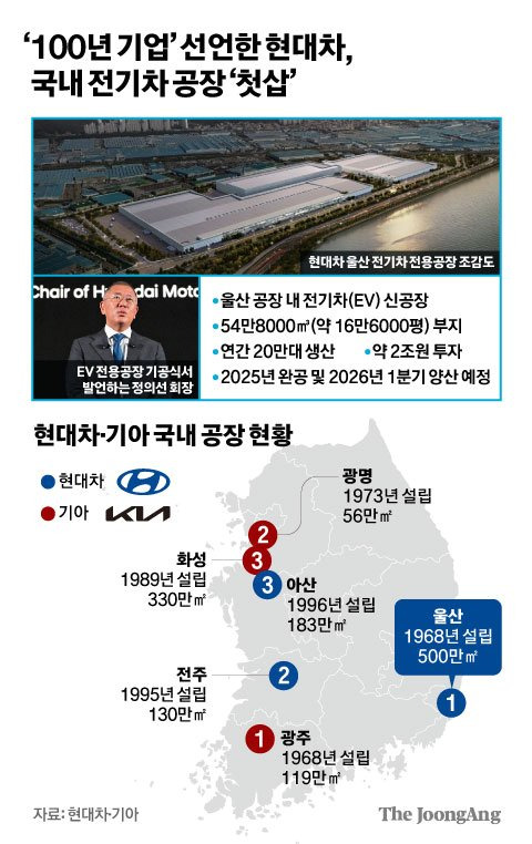 김영희 디자이너