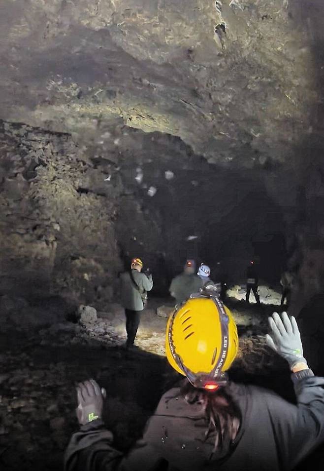 지난 22일 오전 한라산 국립공원 안에 있는 용암동굴인 구린굴에 들어서자 놀란 박쥐 떼가 이리저리 날아다니고 있다(위쪽 사진). 국립생태원은 제주 박쥐의 동면과 기후변화 연관성에 대해 이날 첫 현장 조사를 시작했다. /국립생태원