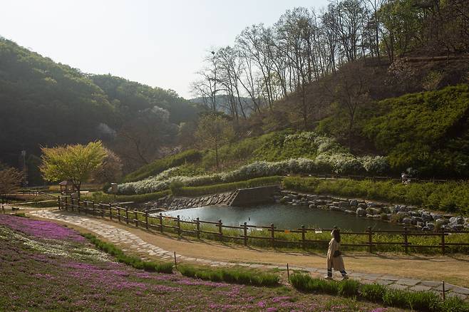 봄꽃이 활짝 핀 율곡수목원. 둘레길을 따라 걷다보면 임진강이 보이는 정상 전망대까지 갈 수 있다. /이한솔 영상미디어 기자