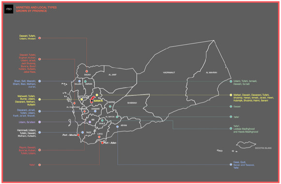 예멘 지역별로 재배되는 커피 품종을 나타낸 지도. [사진=커피매거진 '드립' 제공]