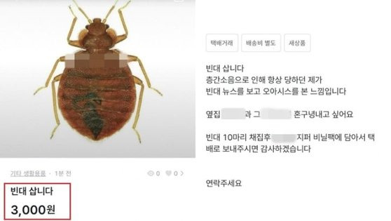 중고 거래 플랫폼에 올라온 빈대 구매 희망글. 온라인 커뮤니티 캡처