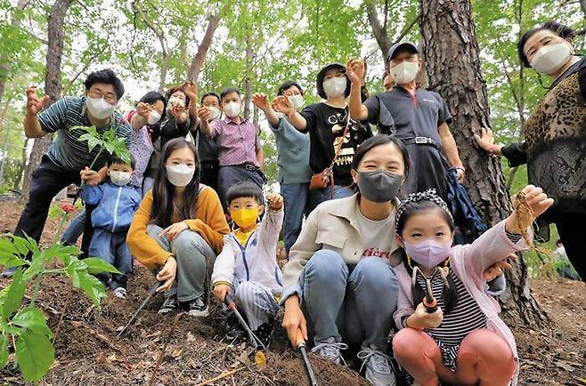 지난 25일‘2021 함양 산삼 항노화 엑스포’행사의 하나로 열린 삼 캐기 체험 현장. 곳곳에서“심봤다”외침이 들려왔다. 살살 긁어낸 흙 속에서 어른 손가락만 한 산양삼이 모습을 드러냈다. 지리산과 덕유산 자락, 해발 1000m를 넘는 봉우리로 둘러싸인 경남 함양은 고소득 작물인 산양삼 재배를 성장 동력으로 삼았다. 지역 발전의 걸림돌이던 산을 디딤돌로 바꾸며‘치유의 고장’으로 변신하고 있다. /김동환 기자