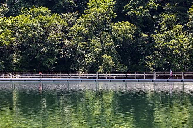 북한강에 떠 있는 ‘숲으로 다리’. 물 위를 걷는 듯하다./양수열 영상미디어 기자