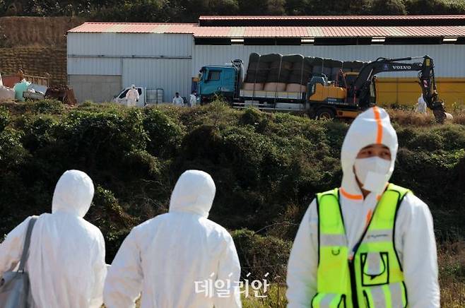 럼피스킨 추가 발생 ⓒ연합뉴스