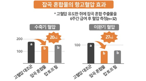 ▲ 잡곡 혼합물의 항고혈압 효과 : 농촌진흥청&nbsp;