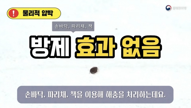 질병관리청이 공개한 가정에서 쉽게 따라 할 수 있는 다양한 빈대 방제법. 질병관리청 공식 유튜브 채널 캡처