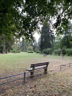 로컬의 녹색 공간, 도심 공원