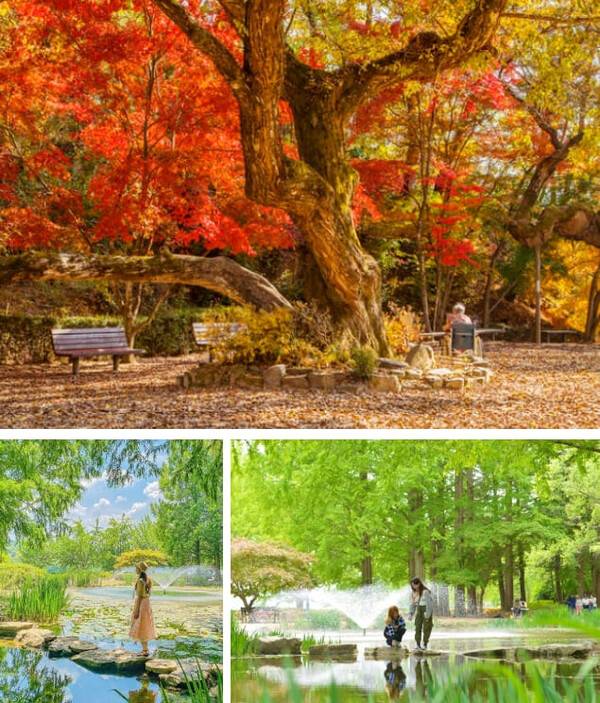 온라인 커뮤니티