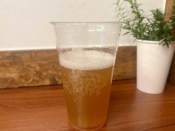 시중에서 판매하는 콤부차. 〈사진=장영준 기자〉