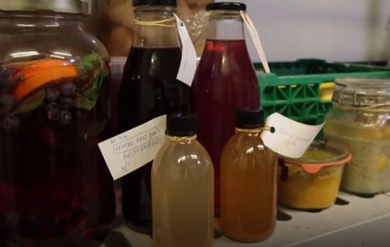 직접 담근 콤부차. 〈사진=JTBC 방송화면 캡처〉