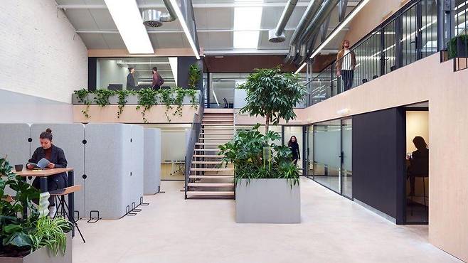 공유 오피스 업계는 여전히 발전하고 있으며, 인기도 뜨겁다는 게 많은 코워킹 전문가의 설명이다