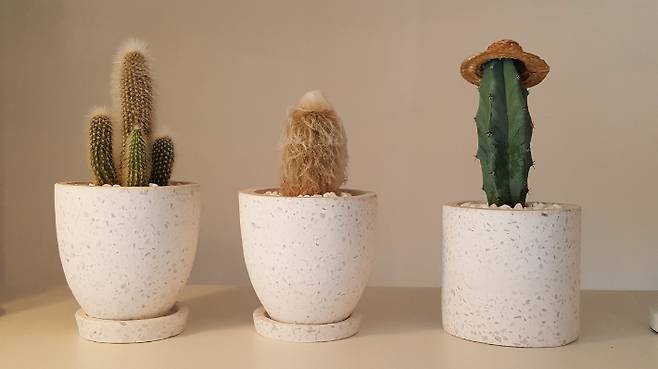 스마트이미지 제공