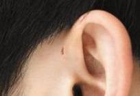 사진= 헬스조선DB