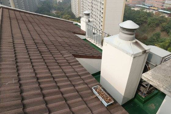 지난 2015년 10월 용인캣맘 살해사건 현장인 용인시 수지구의 한 아파트. 중앙포토