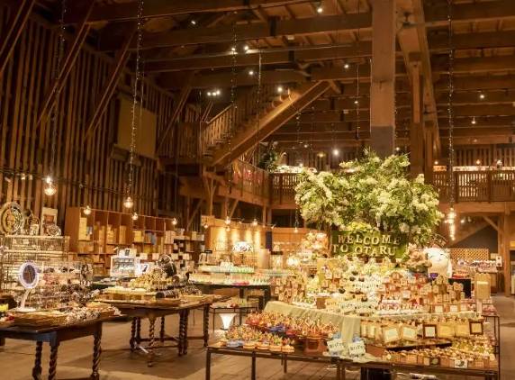 온라인 커뮤니티