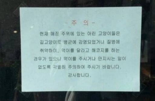길고양이를 조심하라는 안내문을 붙인 카페. [사진=김하연 사진작가 인스타그램 갈무리]