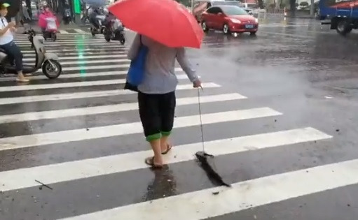 비 오는 날 목줄을 차고 주인과 산책에 나선 반려 동물의 모습이 화제다. [사진출처 = 페이스북]