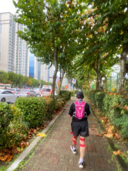 포기하고 싶을 때 하프까진 뛰어보자며 독려해준, 고마운 60대 러닝메이트분. 고맙습니다./사진=딱 하프까지만 버텼던 남형도 기자