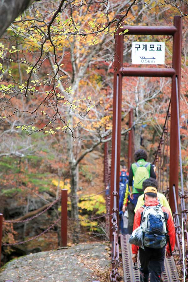 출렁출렁 흔들리는 구계포교.