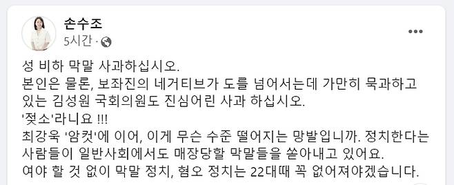 사진=손수조 리더스클럽 대표 페이스북 갈무리