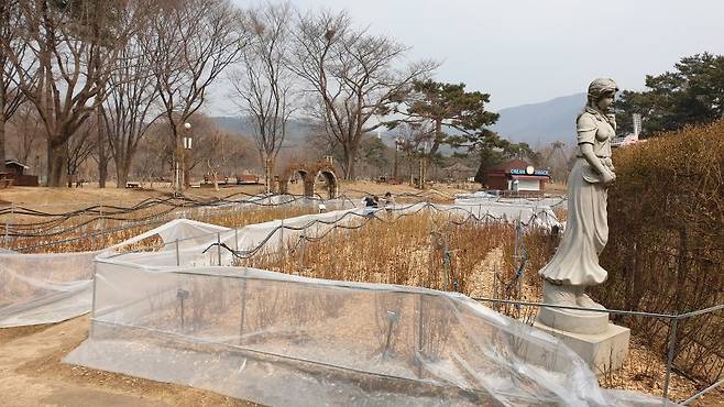 서울대공원 테마가든에 식물 월동을 위한 방풍벽이 설치돼 있다. 서울대공원 제공