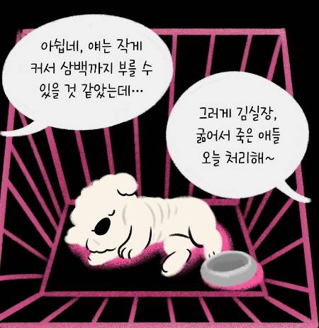 작은 강아지는 어디서 오는가. 어떻게 길러지는가. 가족을 찾지 못하면 어떻게 되는가. 이 모든 질문에 알아야 할 필요가 있다./사진=위액트 인스타그램