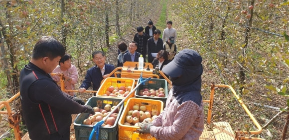 충북도가 지난 5일 청주의 한 사과농장에서 도시농부 사업 현장점검을 벌이고 있다. 충북도 제공